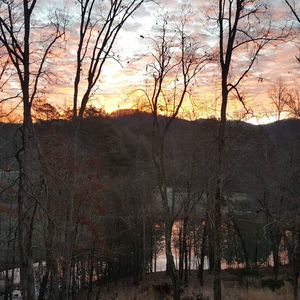 Meet your Posher, Margie